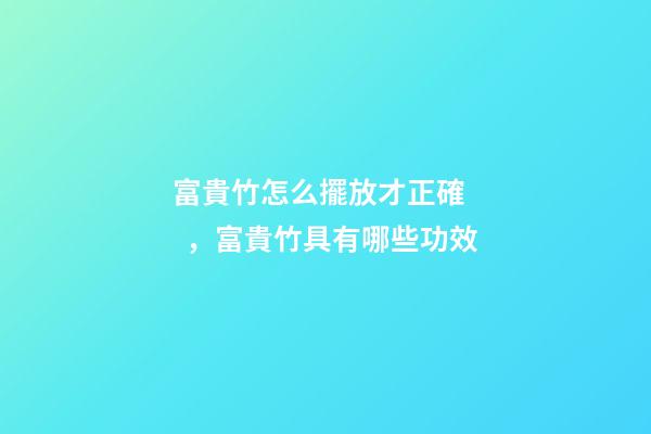 富貴竹怎么擺放才正確，富貴竹具有哪些功效